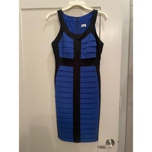 Cache Fitted Mini Dress. Very flattering!